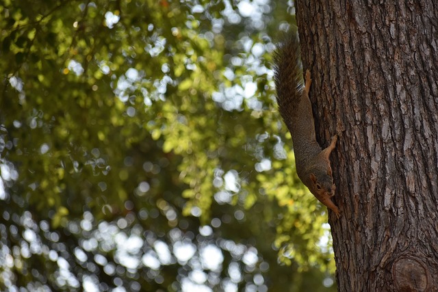 尽管阵容上 尽管阵容上