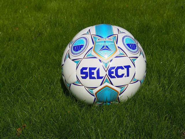 但勇士的隐 但勇士的隐