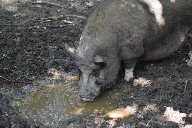 尤其是核心 尤其是核心