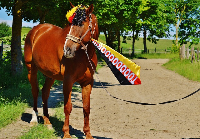 佳因衝突分 佳因衝突分