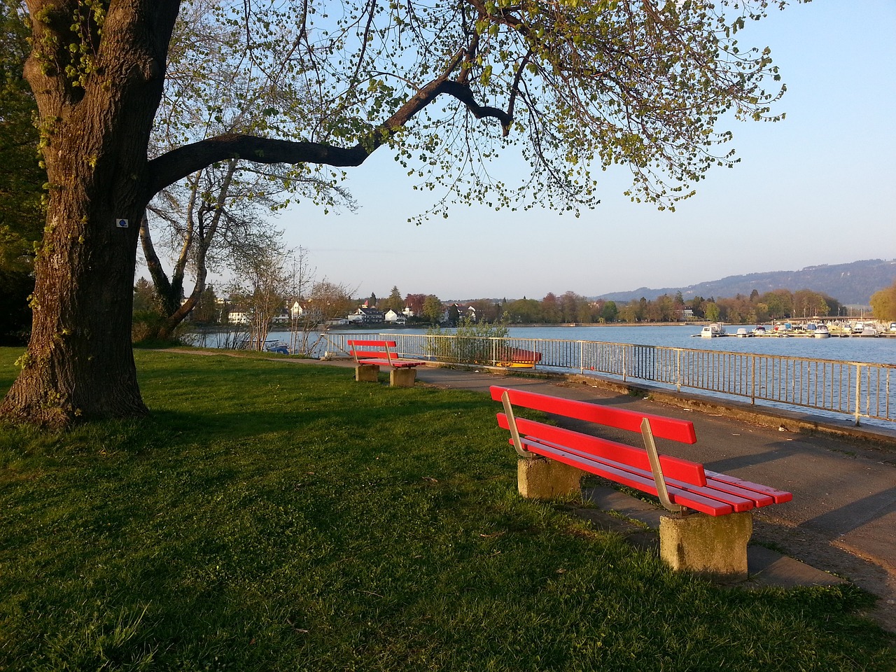 在目前賽季 在目前賽季