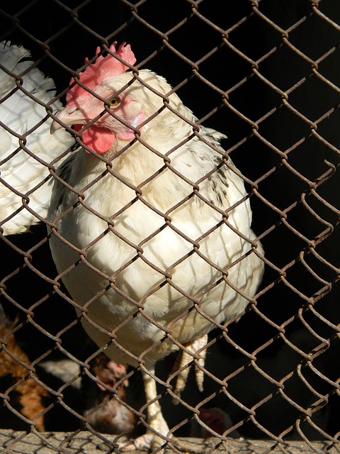 場合強調 場合強調