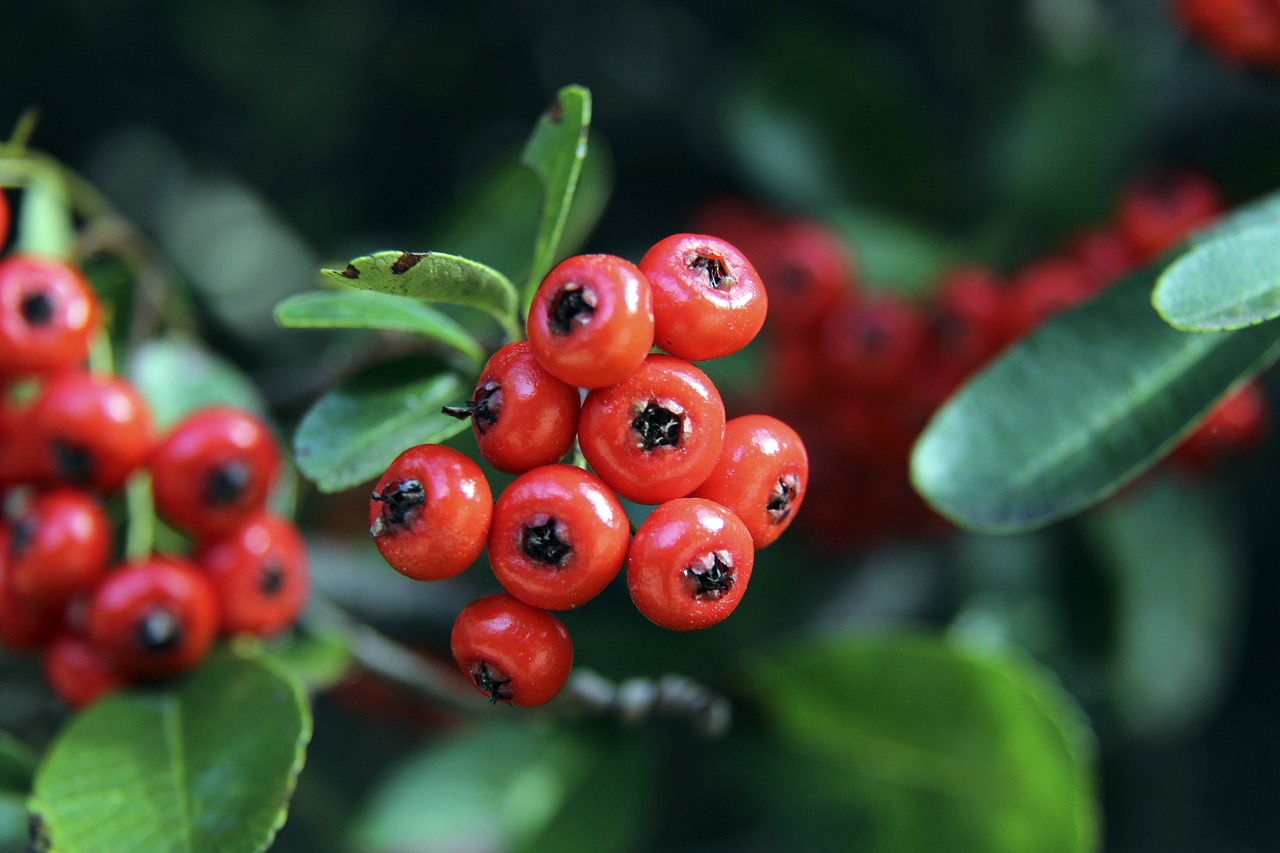 出色的视觉 出色的视觉