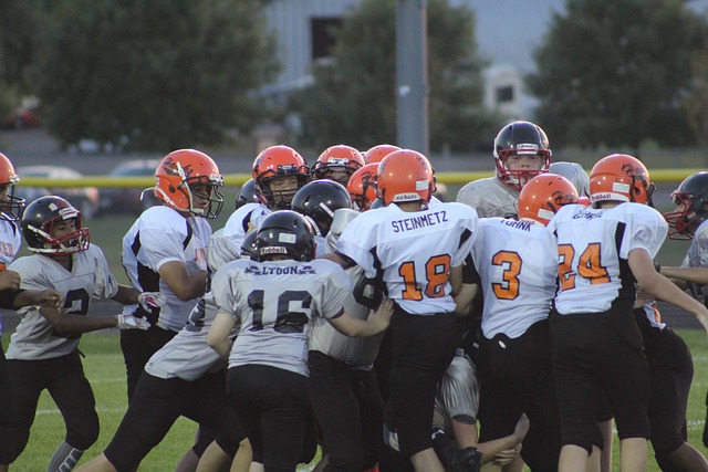 积分榜上占 积分榜上占