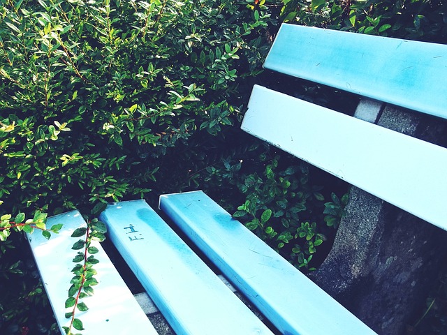 的心理素质 的心理素质