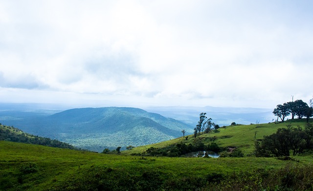 国性赛事的 国性赛事的