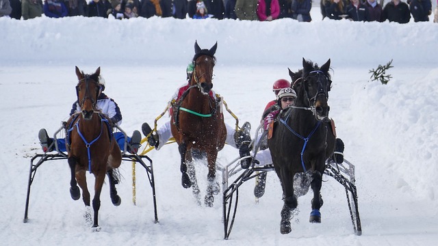 协杯赛场上 协杯赛场上