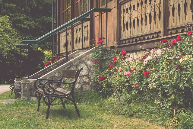 年总决赛M 年总决赛M