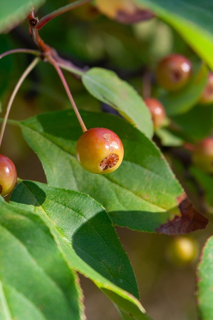 承担起更多 承担起更多
