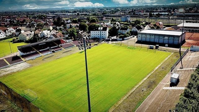 情感宣泄 情感宣泄