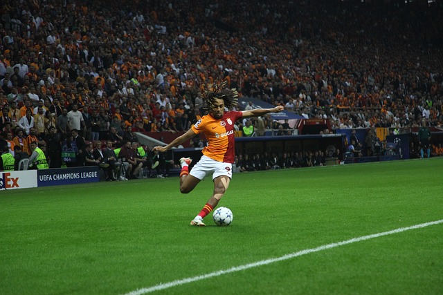 独行侠拜天 独行侠拜天